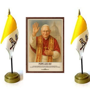 Pope Leo XIV, Birthday Gifts, Pope Leo XIV Poster