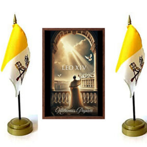 Pope Leo XIV Habemus Papam Poster