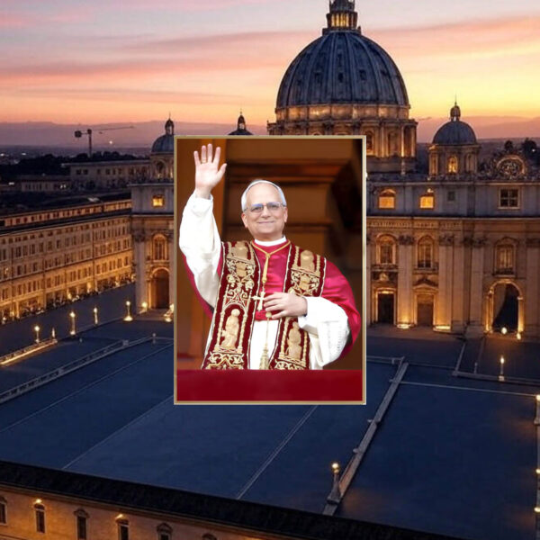 Robert Francis Prevost art New Pope print Poster